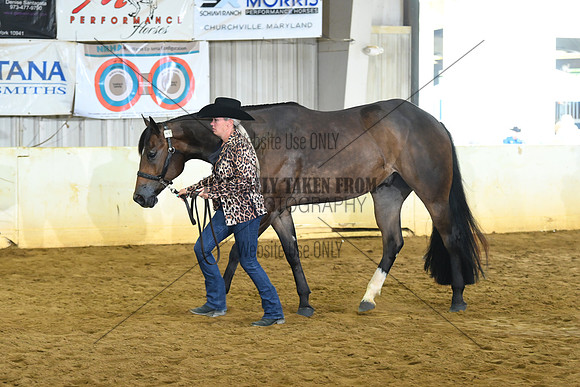AJB_1774