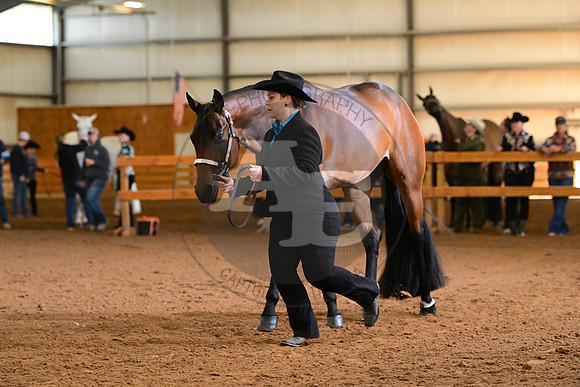 AJB_0852