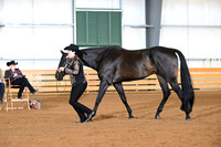 AJB_0958
