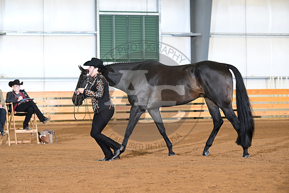 AJB_0958