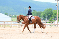 AJB_6154