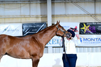 AJB_1495
