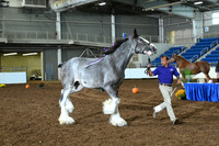 AJB_6309