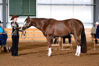 AJB_0884