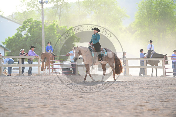 AJB_0379