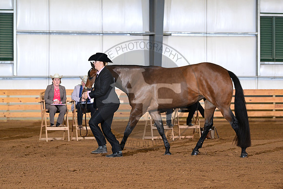 AJB_0867