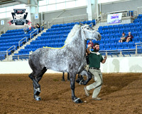 AJB_4925