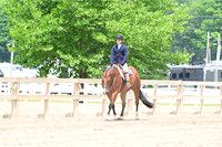 AJB_6118