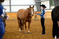 74. Performance Mares