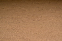 AJB_2231