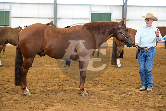 AJB_2061