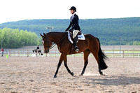 AJB_3453