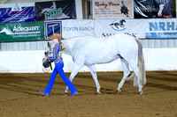 47. Youth Performance Mares