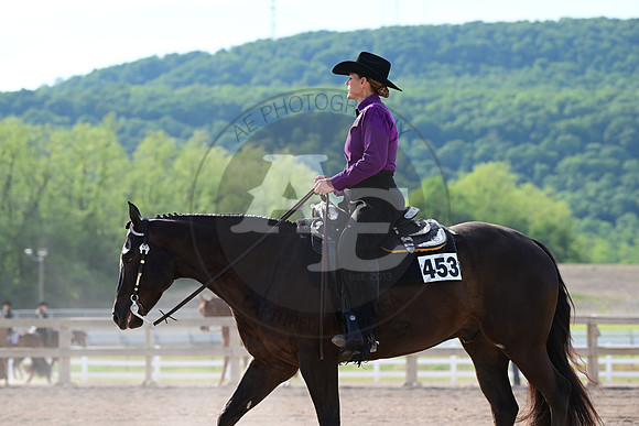 AJB_0037