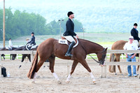AJB_6621