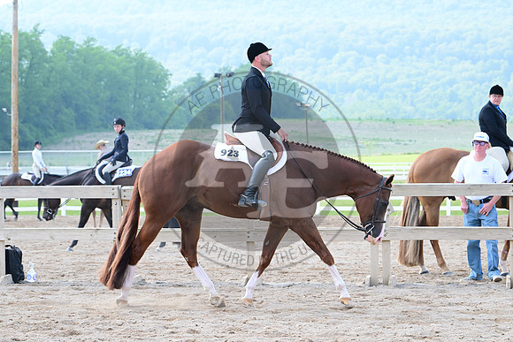 AJB_6621