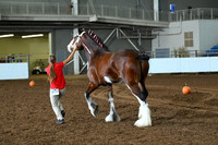 AJB_6175