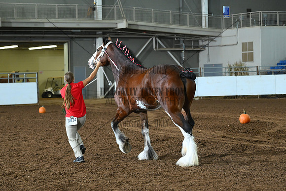 AJB_6175