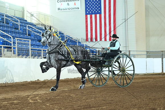 AJB_5577