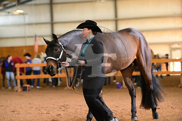 AJB_0905