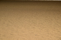 AB1_8015