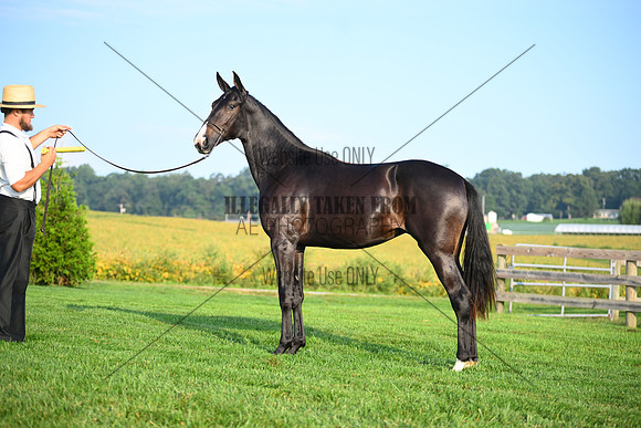 AJB_0572