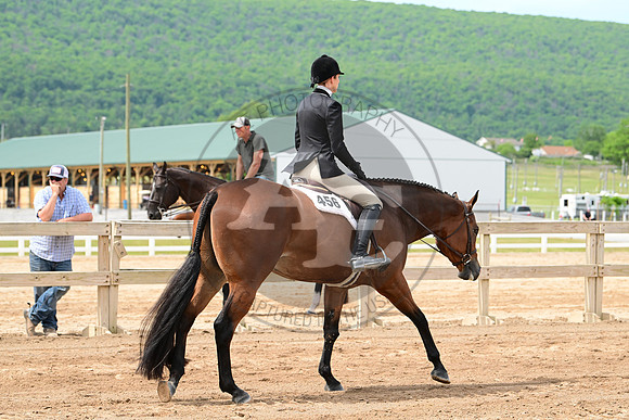 AJB_2491