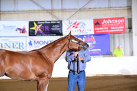 AB1_6123