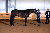 AJB_0016