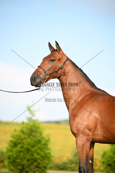 AJB_0686