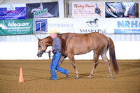 17. 3 Year Old Mares