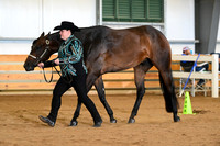 AJB_6009