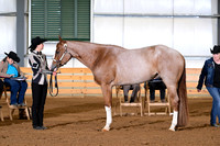 AJB_0926