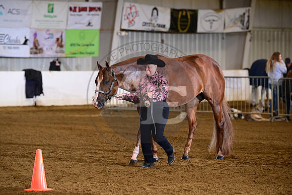 AJB_9966