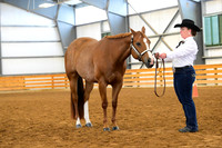 107. Amatuer Aged Mares