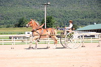AJB_4816
