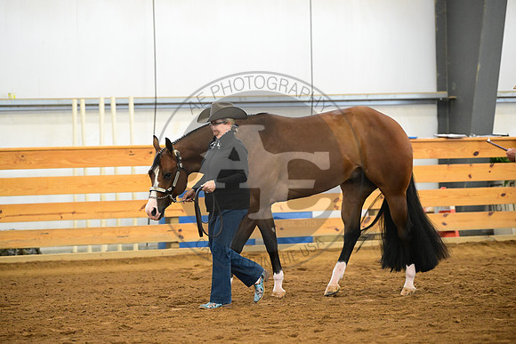 AJB_2011