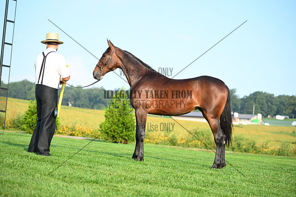 AJB_0622