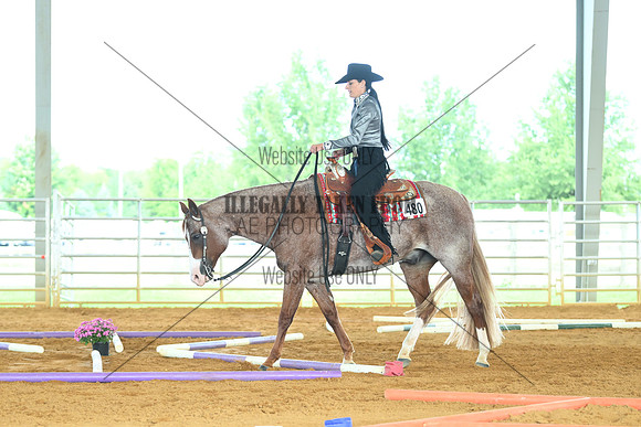AJB_2387