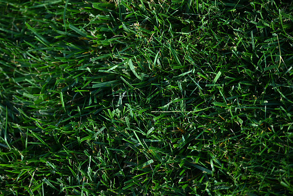 AJB_0681