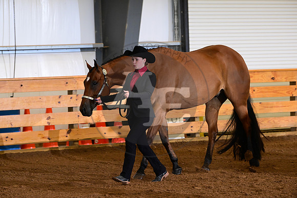 AJB_0098