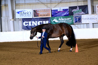 53. Youth Aged Geldings