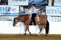 AJB_0378