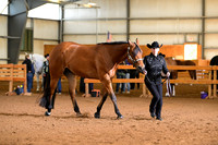 AJB_0937
