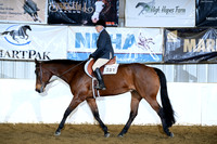 AJB_9280