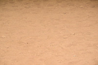 AJB_4103