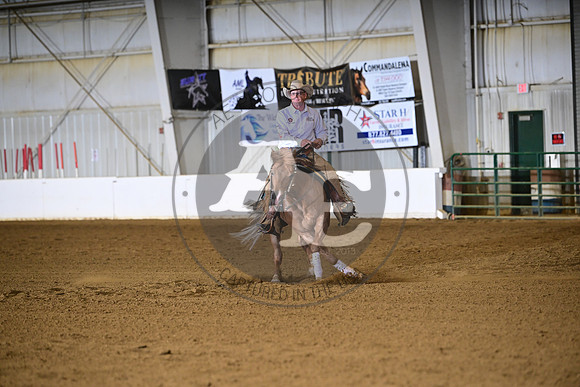 AJB_1519