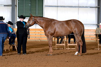 AJB_0799