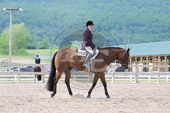 AJB_3163