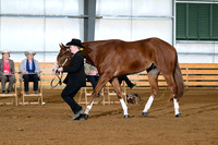 AJB_0975